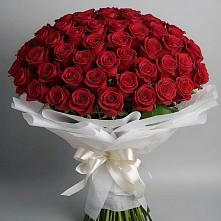 Букет 101 Красная роза Блэк Мэджик #REPLACE_PRED# Переясловской