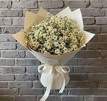 Букет цветов из:  Ромашки #REPLACE_PRED# Переясловской